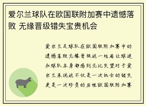 爱尔兰球队在欧国联附加赛中遗憾落败 无缘晋级错失宝贵机会