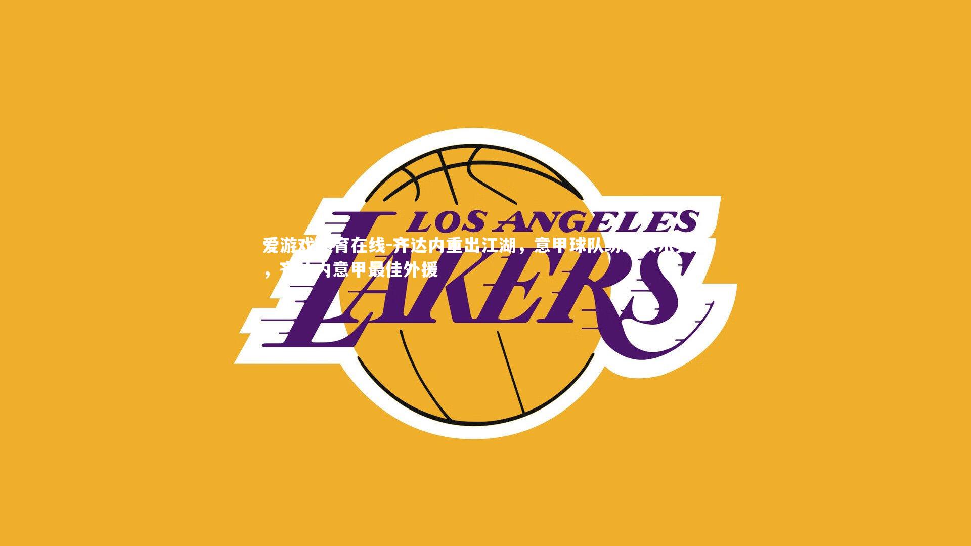 爱游戏体育在线-齐达内重出江湖，意甲球队纷纷表示关注，齐达内意甲最佳外援